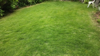 Thumbnail of post image 082
