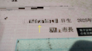 Thumbnail of post image 059