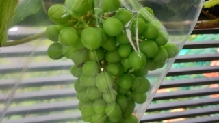 Thumbnail of post image 123