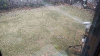 Thumbnail of post image 070