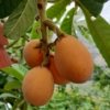 Thumbnail of new posts 172